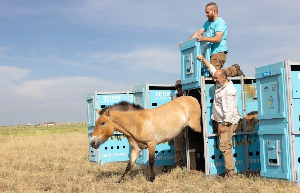 Family moving into home